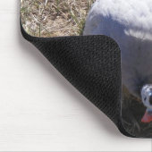 Lavendel-Guinea-Hühner Mousepad (Ecke)
