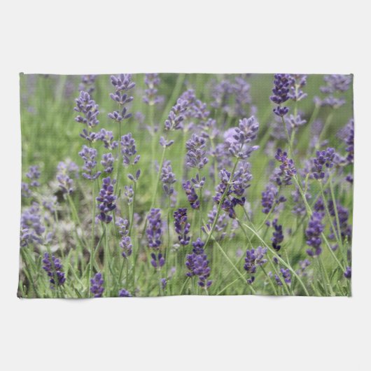 Lavendel-Handtuch Geschirrtuch (Horizontal)