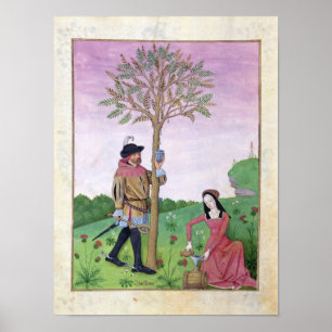 Lavendel, Hellebore, und Verwandter von Gurken Poster