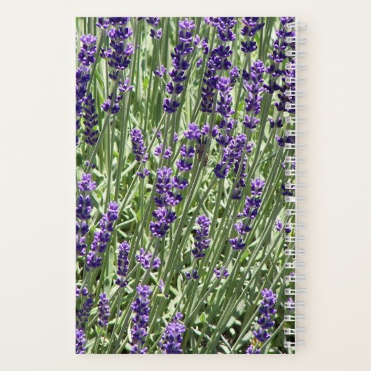 Lavendel Herb Blume floral Notizblock (Rückseite)