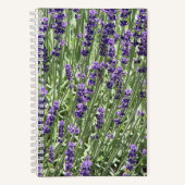 Lavendel Herb Blume floral Notizblock (Vorderseite)