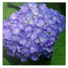 Lavendel Hortensie Fliese
