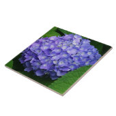 Lavendel Hortensie Fliese (Seite)
