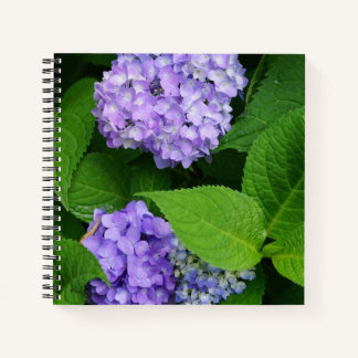 Lavendel Hortensie Notizblock