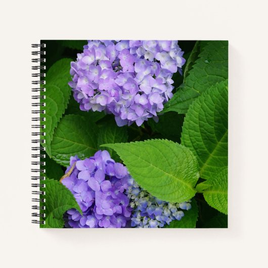 Lavendel Hortensie Notizblock (Vorderseite)
