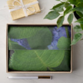 Lavendel Hortensie Seidenpapier (Geschenk)