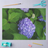 Lavendel Hortensie Seidenpapier (Basteln)