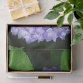 Lavendel Hortensie Seidenpapier (Geschenk)