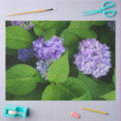 Lavendel Hortensie Seidenpapier (Basteln)