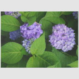 Lavendel Hortensie Seidenpapier