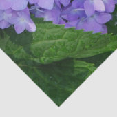 Lavendel Hortensie Seidenpapier (Ausschnitt)