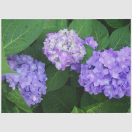 Lavendel Hortensie Seidenpapier