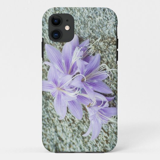 Lavendel hosta Blume in voller Blüte Case-Mate iPhone Hülle (Rückseite)