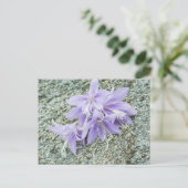 Lavendel hosta Blume in voller Blüte Postkarte (Stehend Vorderseite)