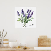 Lavendel-Illustration Botanischer Poster (Küche)