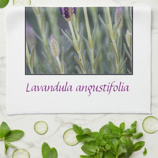 Lavendel in der Blüte Geschirrtuch (Gefaltet)