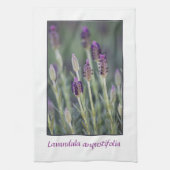 Lavendel in der Blüte Geschirrtuch (Vertikal)