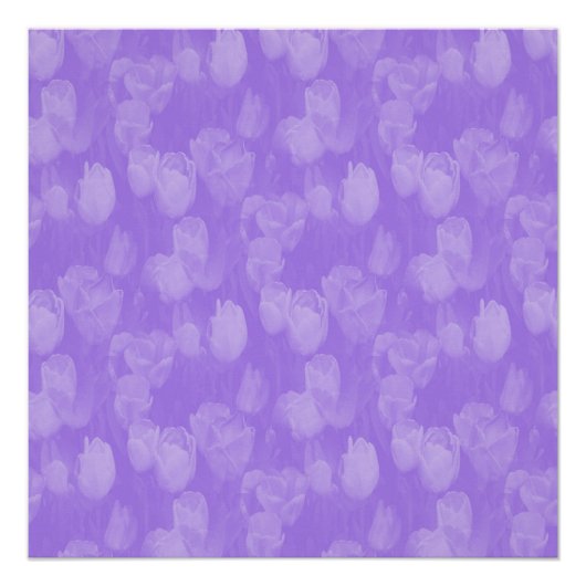 Lavendel in der Liebe.... Poster (Vorderseite)