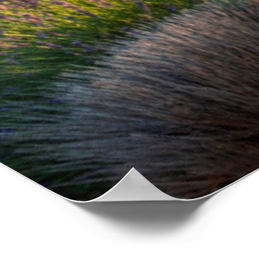 Lavendel in der Provence Poster (Ecke)