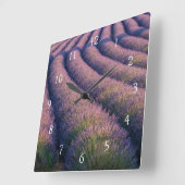 Lavendel in der Provence Quadratische Wanduhr (Winkel)