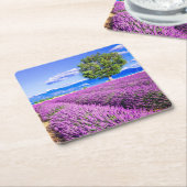 Lavendel in der Provence Rechteckiger Pappuntersetzer (angewinkelt)