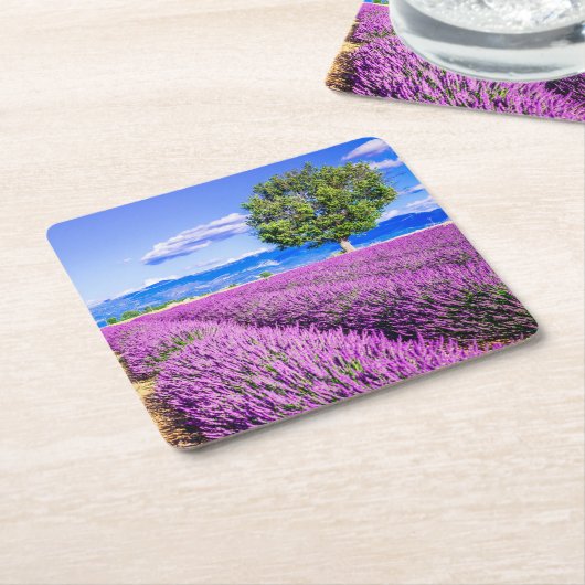 Lavendel in der Provence Rechteckiger Pappuntersetzer (angewinkelt)