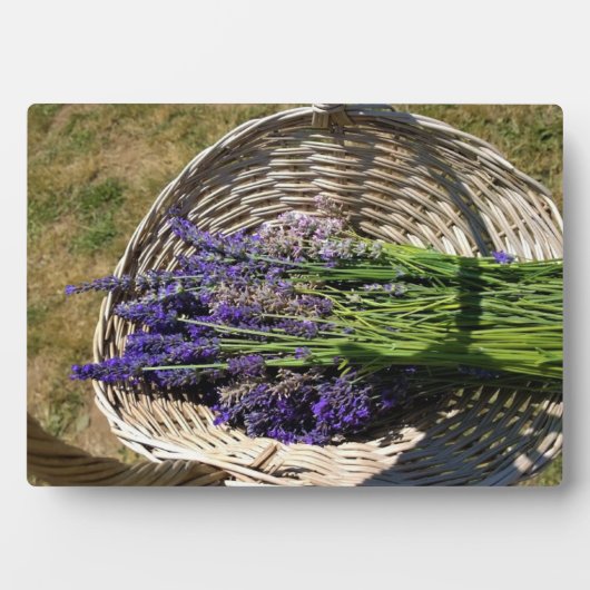 Lavendel in einem Korb Fotoplatte (Vorderseite)