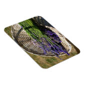 Lavendel in einem Korb Magnet (Rechte Seite)