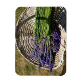 Lavendel in einem Korb Magnet (Vertikal)
