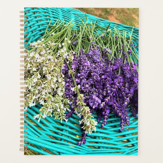 Lavendel in einem Korb Planer (Vorderseite)
