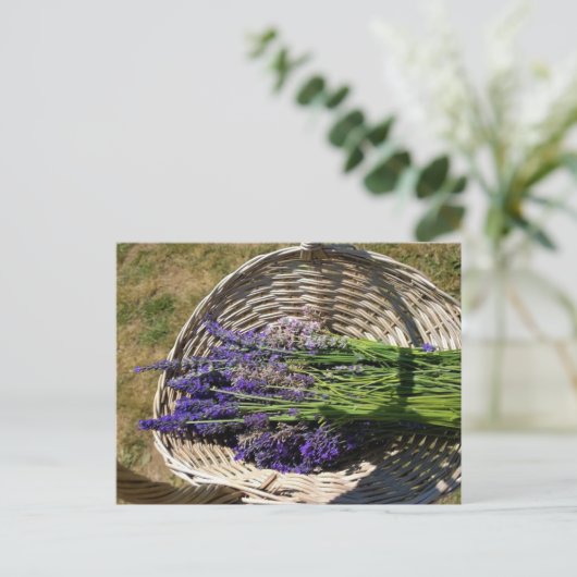 Lavendel in einem Korb Postkarte (Stehend Vorderseite)