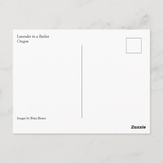 Lavendel in einem Korb Postkarte (Rückseite)