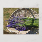 Lavendel in einem Korb Postkarte (Vorderseite)