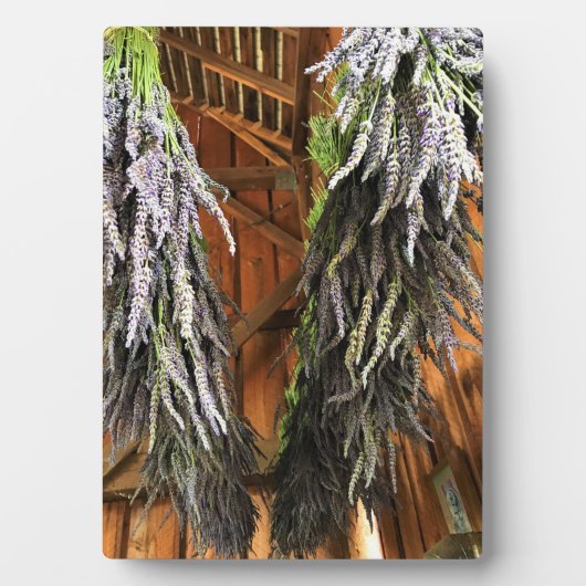 Lavendel in einer Scheune Fotoplatte (Vorderseite)