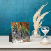 Lavendel in einer Scheune Fotoplatte (InSitu)