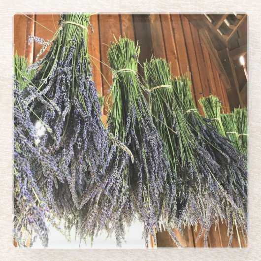 Lavendel in einer Scheune Glasuntersetzer (Vorderseite)