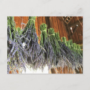 Lavendel in einer Scheune Postkarte