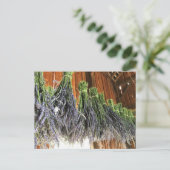 Lavendel in einer Scheune Postkarte (Stehend Vorderseite)