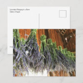 Lavendel in einer Scheune Postkarte (Vorne/Hinten)