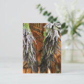Lavendel in einer Scheune Postkarte (Stehend Vorderseite)