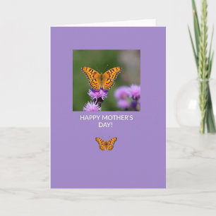 Lavendel Insekt Fotokarte Karte