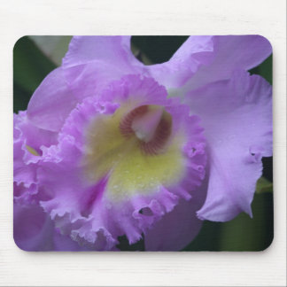 Lavendel-Iris Mousepad