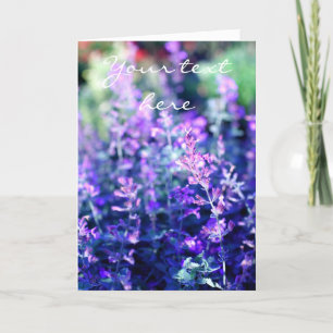 Lavendel, Klassische Fotokarte Karte