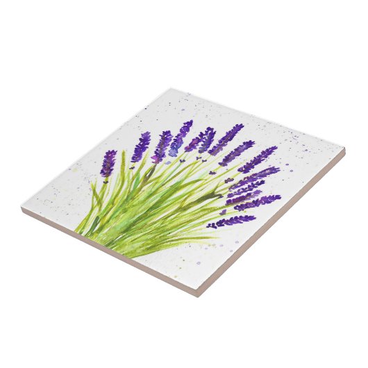 Lavendel Kraut Pflanze Wasserfarbe Rustikale Küche Fliese (Seite)