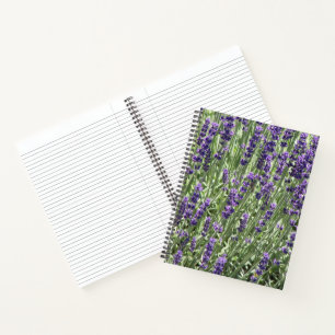 Lavendel-Kräuter-Blüten Floral Notizblock