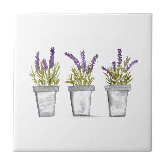 Lavendel-Kräuter-Topfpflanze Fliese (Vorderseite)