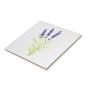 Lavendel Kräuterpflanze Pflanze Lila Blumengärten Fliese (Seite)