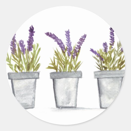 Lavendel Kräutertöpfe Aquarellfarben Blume lila ch Runder Aufkleber (Vorderseite)