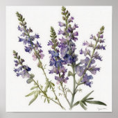 Lavendel Larkspur Blume Art Print Poster (Vorne)