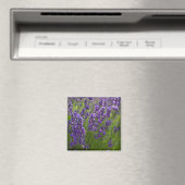 Lavendel | Lavendel Magnet (In Situ (Geschirrspüler))
